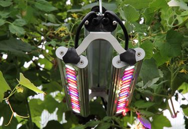 Plantebelysning med armatur Quattro to rækker