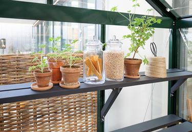 Eksempelbillede: Plantehylde til Green Room-drivhuse