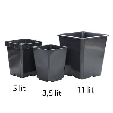 Tomatkrukker 3,5 liter, 5 liter og 11 liter i et sammenligningsbillede