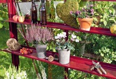 Miljøbillede på plantehylde i rødt