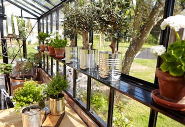 Miljøbillede af potter i et drivhus