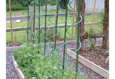 Rank-o-twist for tomatplanter - Plantestøtte og opbinding