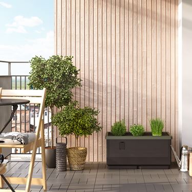 Plantekasse Cityjungle - Minidrivhus