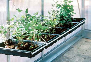 Vippo plantbackshylla