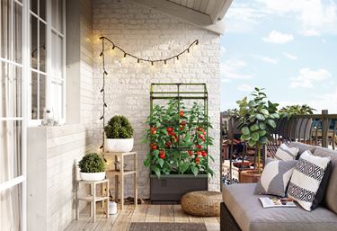 Dyrkningskasse Cityjungle med espalier - Tilbehør til dyrkning