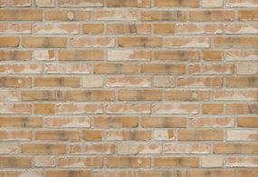 Mursten, Tegl, Tegl til drivhus, Mursten til drivhus, Væg til drivhus, Drivhustegl, Drivhusvæg, Mur til drivhus, Drivhusmur, Tegl til dyrkning, Facadetegl, Mure selv, Slået tegl, Håndlavet tegl