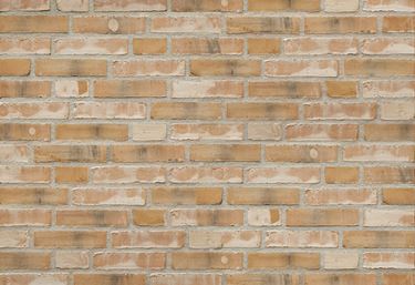 Mursten, Tegl, Tegl til drivhus, Mursten til drivhus, Væg til drivhus, Drivhustegl, Drivhusvæg, Mur til drivhus, Drivhusmur, Tegl til dyrkning, Facadetegl, Mure selv, Slået tegl, Håndlavet tegl