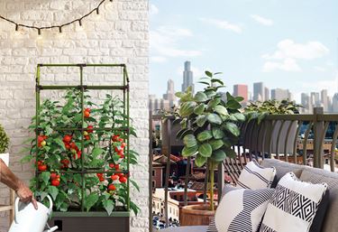 Espalier til plantekasse Cityjungle - Plantestøtte og opbinding