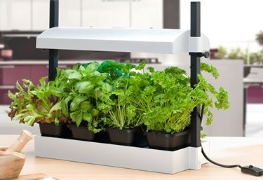 Plantebelysning Micro - Plantebelysning
