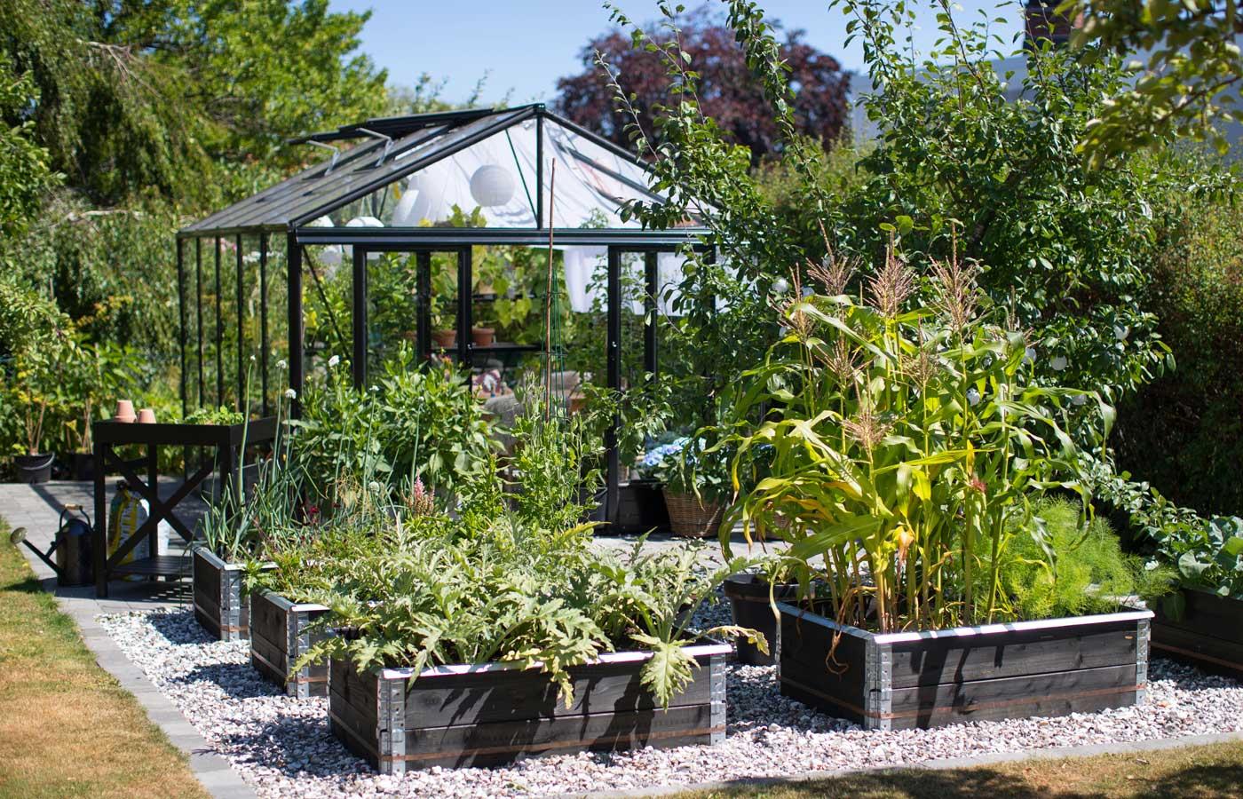 Vaxthus Euro Serre Odlingsladar Lummigt Sommar