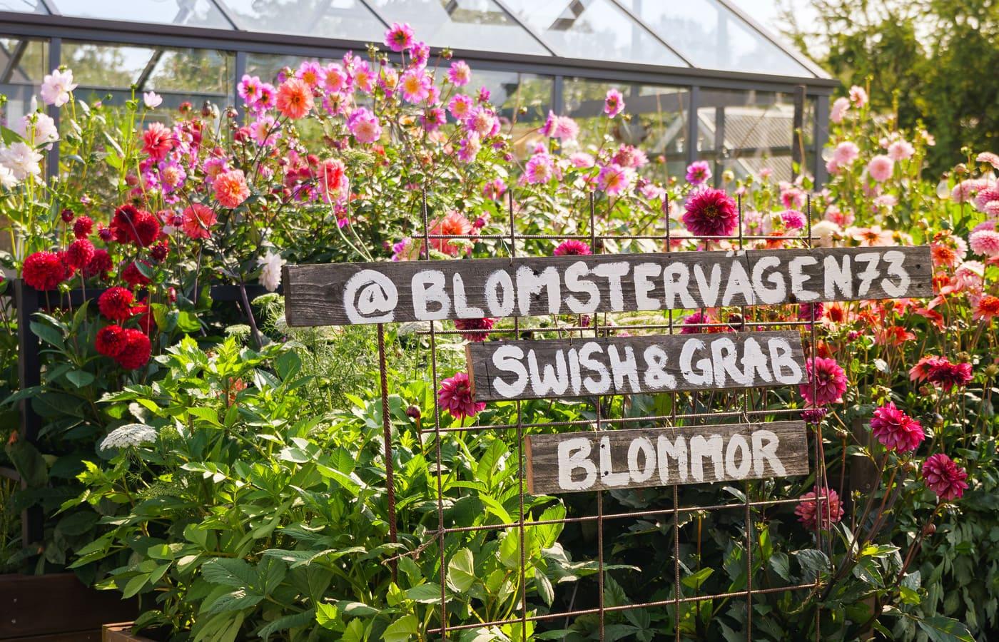 Paradiset for afskårne blomster