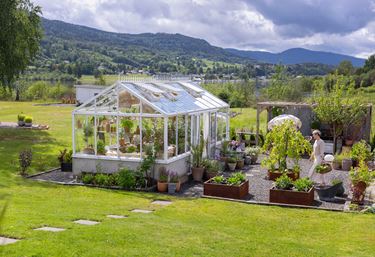 Eksempelbillede: Green Room Wall drivhuse