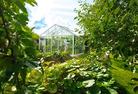 Green Room Classic drivhus badet i grønt.
