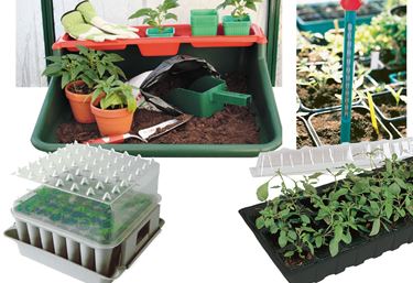 Plantning - Have