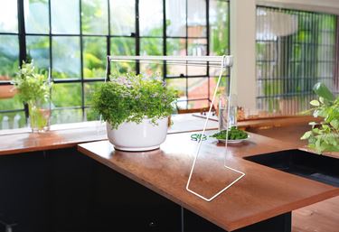 Miljøbillede hos FloraBoost